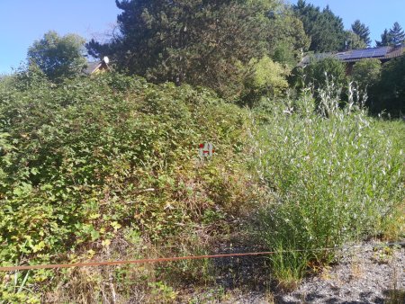 Baubewilligtes Grundstück in Klosterneuburg!!