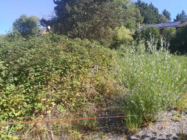 Baubewilligtes Grundstück in Klosterneuburg!! - Bild