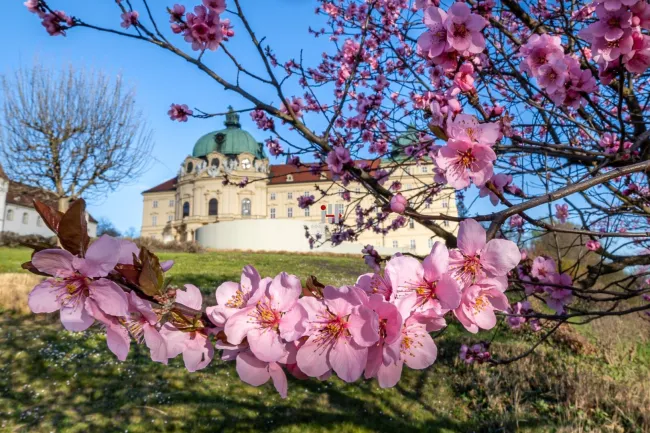 Baubewilligtes Grundstück in Klosterneuburg!! - Bild