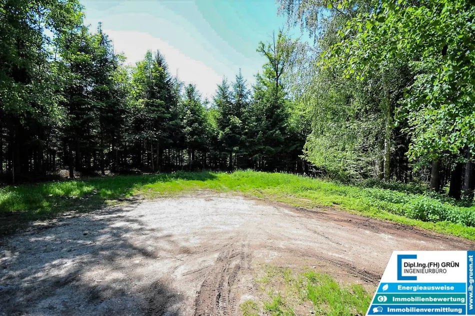 Bestens bewirtschafteter Wald (ca. 2,56 ha) mit Top-Zufahrt & Holzlagerplatz - Titelbild