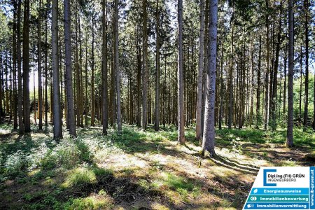 Bestens bewirtschafteter Wald (ca. 2,56 ha) mit Top-Zufahrt & Holzlagerplatz