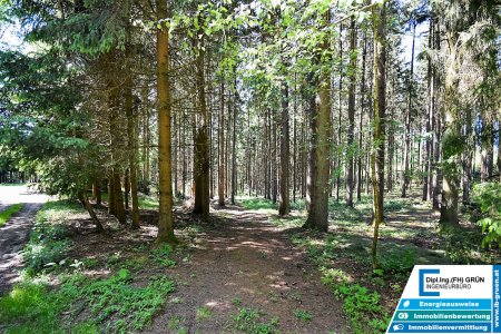 Bestens bewirtschafteter Wald (ca. 2,56 ha) mit Top-Zufahrt & Holzlagerplatz