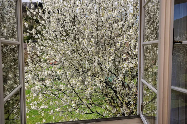 Fensterblick