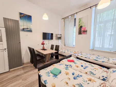 Wohn-/Schlafzimmer