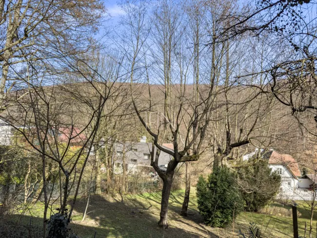 Ausblick Wohnraum