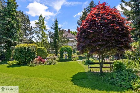 Zwischen den Weinbergen - 2.300m² Grundstück mit Villa