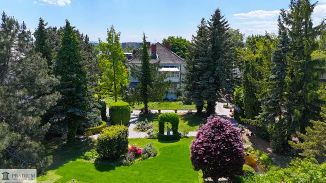 Zwischen den Weinbergen - 2.300m² Grundstück mit Villa - Titelbild