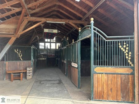 Exklusiver Pferdehof mit 2 Wohneinheiten, Reithalle & großem Grund in Hochneukirchen
