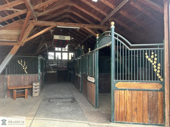 Exklusiver Pferdehof mit 2 Wohneinheiten, Reithalle & großem Grund in Hochneukirchen - Titelbild