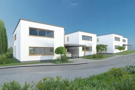 NEUSTEINHOF - Ihr Familienzuhause im Grünen: modern & lichtdurchflutet (Haus 1)