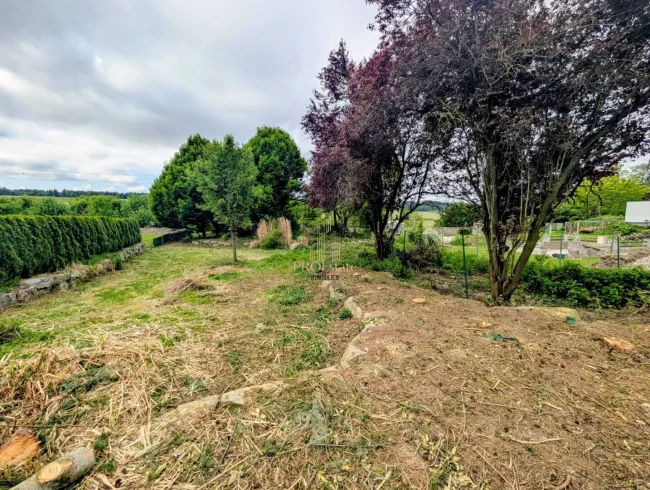 Idyllisches Baugrundstück in Pennewang – Wohnen im Grünen mit Platz für bis zu 3 Wohneinheiten - Titelbild