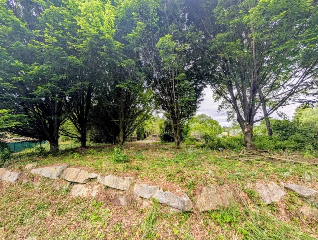 Idyllisches Baugrundstück in Pennewang – Wohnen im Grünen mit Platz für bis zu 3 Wohneinheiten - Bild