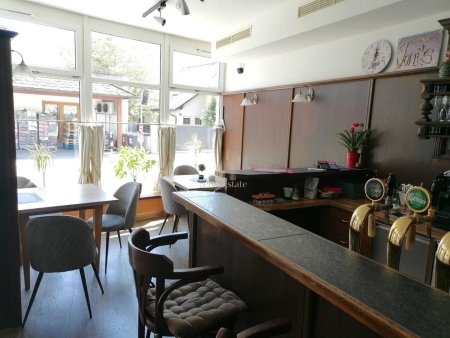 Attraktives Zinshaus oder eigenes Restaurant mit Dachterrassenwohnung in Steyr - Nutzen Sie diese Gelegenheit!