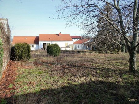 Großes Baugrundstück mit Altbestand in Mannswörth - AUCH FÜR BAUTRÄGER GEEIGNET! (2.230m²)..
