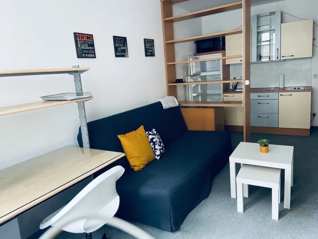 Nette helle Einzimmerwohnung.. - Titelbild