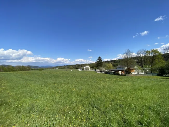 Ihr Zuhause mit Freiraum und Natur pur direkt an der Drau - großzügiges Grundstück mit zahlreichen Möglichkeiten - Bild