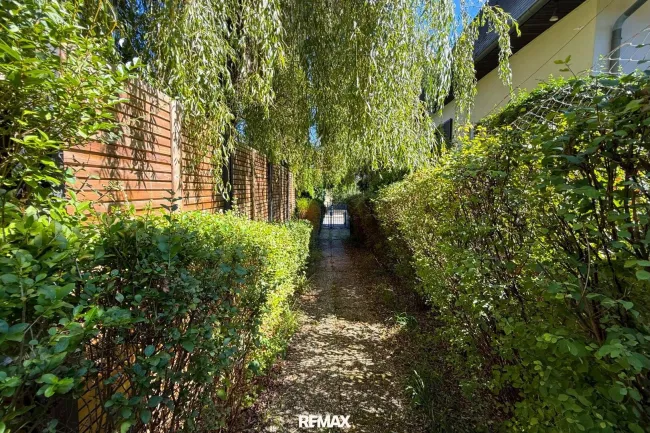 Einfamilienhaus mit Pool Visualisierung