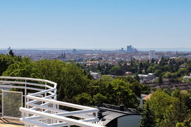 Panoramablick ins Grüne und Wienblick