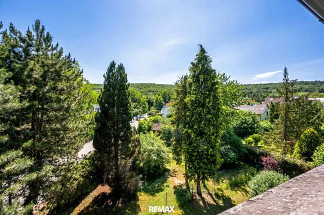 Aussicht Grünblick
