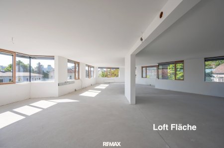 Loft-Etage (unausgebaut) in Mödling, 188m² – Top Lage! zu Wohnzwecken als auch gewerblich nutzbar