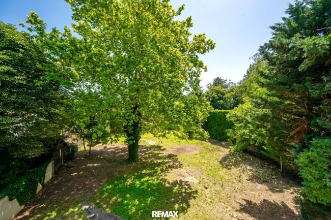Gartenblick