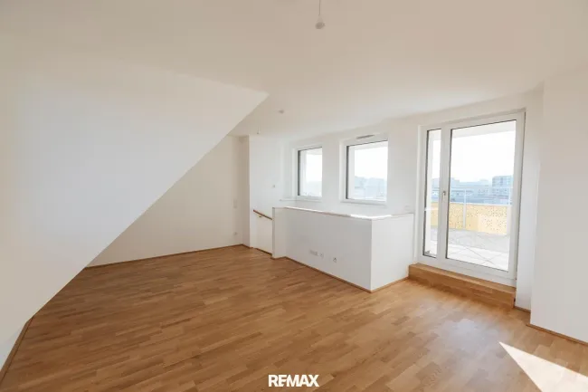 Zimmer