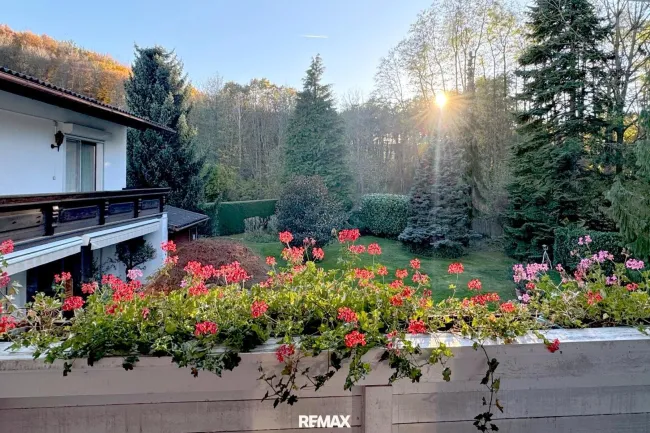 24 Waldblick