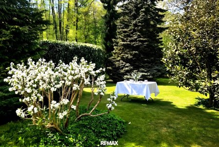 02 in den Park