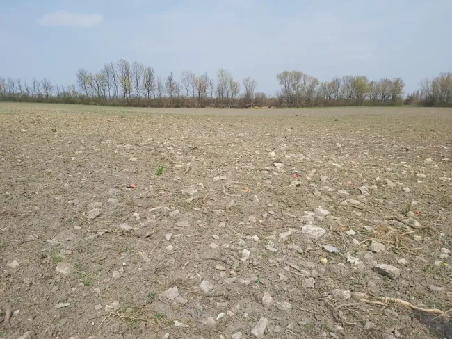 Erdfläche