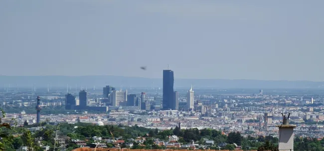 Wienblick in Grünruhelage - Bild