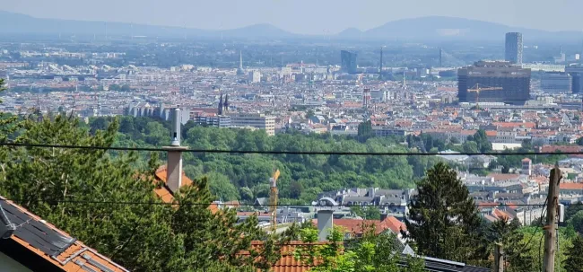 Wienblick in Grünruhelage - Bild