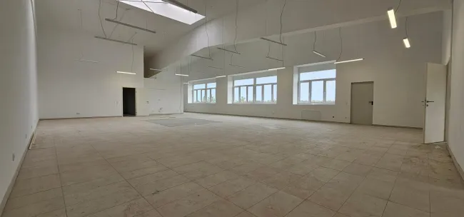 Halle 2