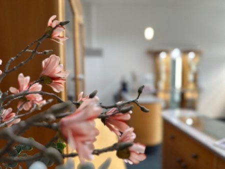 Kleine Gewerbefläche im Zentrum von Spielberg