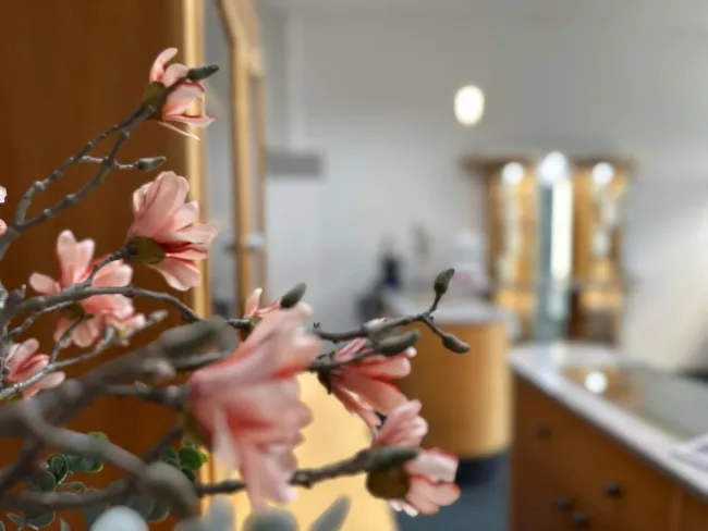 Kleine Gewerbefläche im Zentrum von Spielberg - Bild