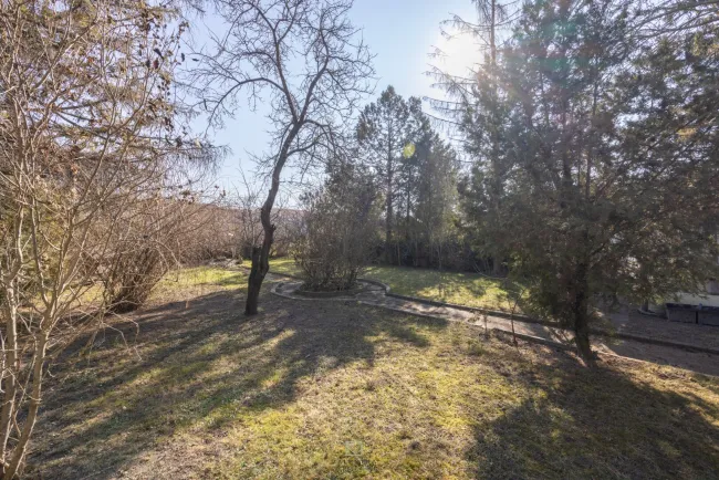 Zwei Baugrundstücke in Essling – 1.730 m² für Ihr nächstes Bauträgerprojekt! - Titelbild