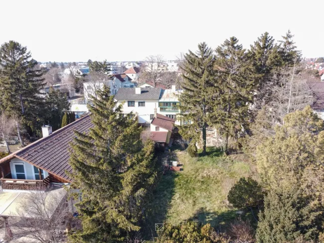Neuer Preis! Top Grundstück in Essling – 865 m² mit Altbestand und großem Entwicklungspotential! - Bild