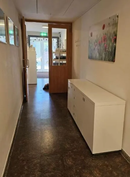 Der ideale Geschäftsstandort zur Miete! Alles unter einem Dach Büro, Geschäfts und Lagerfläche in Grödig - Bild