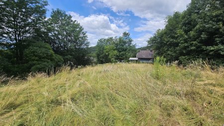 1.380 m² Sonnengrund in Kreuth/Pischeldorf/Poggersdorf!