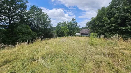 1.380 m² Sonnengrund in Kreuth/Pischeldorf/Poggersdorf!