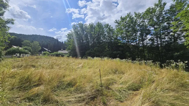 996 m² Baugrundstück in bester Lage von Pischeldorf/Poggersdorf! - Titelbild