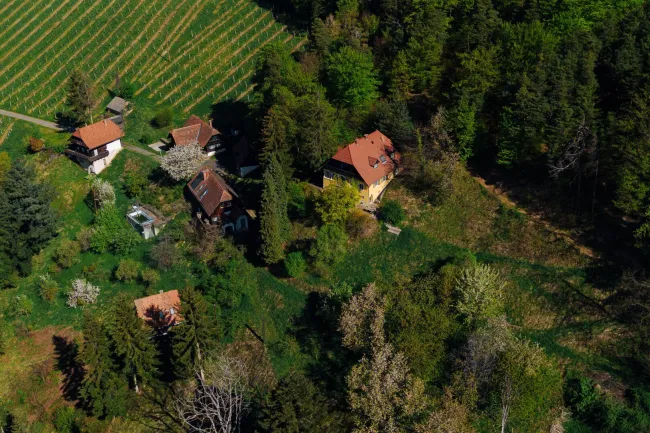 Außergewöhnliche Liegenschaft im Weinparadies – Ihre Visionen werden Realität! - Bild