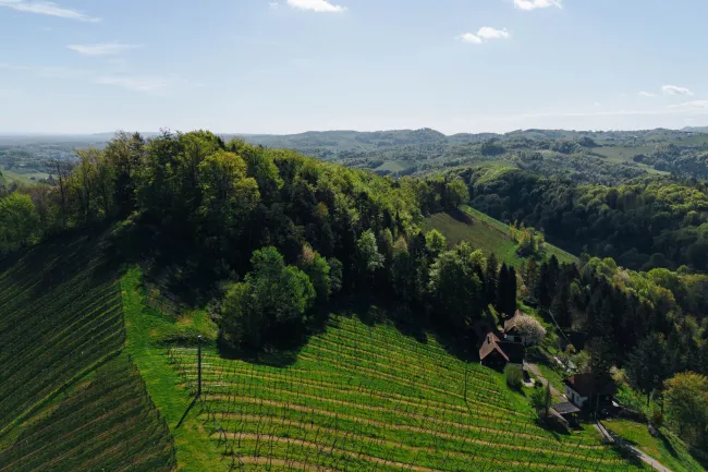 Außergewöhnliche Liegenschaft im Weinparadies – Ihre Visionen werden Realität! - Titelbild