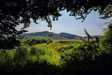 Traumgrundstück am Waldrand: Genießen Sie ein einladendes Sonnenparadies mit Panoramablick!