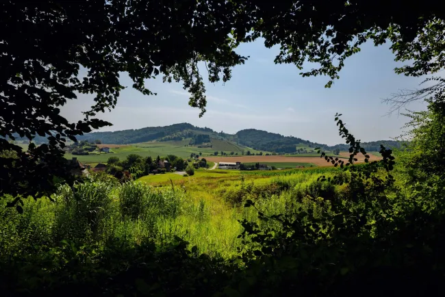 Traumgrundstück am Waldrand: Genießen Sie ein einladendes Sonnenparadies mit Panoramablick! - Titelbild