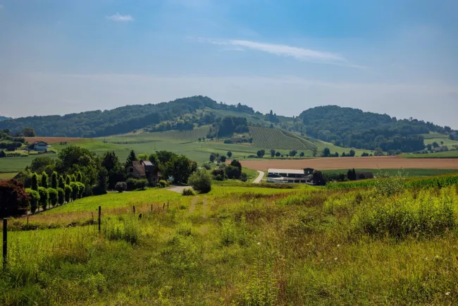 Traumgrundstück am Waldrand: Genießen Sie ein einladendes Sonnenparadies mit Panoramablick! - Bild
