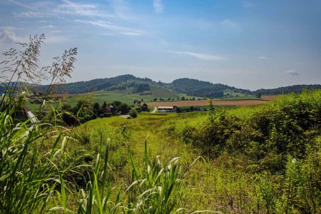 Baugrundstück mit Panorama und Waldrandlage – 20 Min. von Graz!