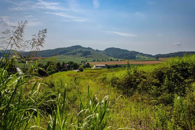 Baugrundstück mit Panorama und Waldrandlage – 20 Min. von Graz! - Bild