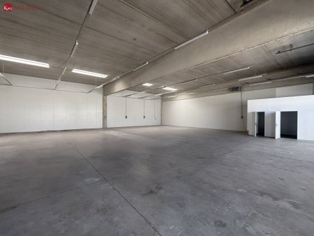 Moderne Industriehalle 183 m² in 2242 Prottes