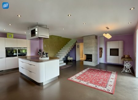 Modernes Haus mit Naturpool