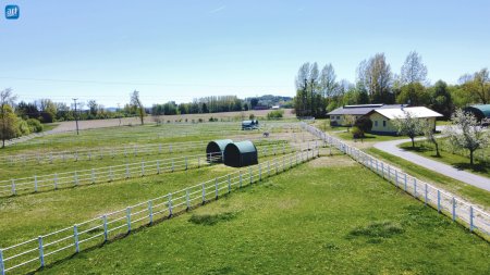Neuwertiges Pferdegestüt, eigene Zufahrt und Trainingsbahn, ab sofort verfügbar!